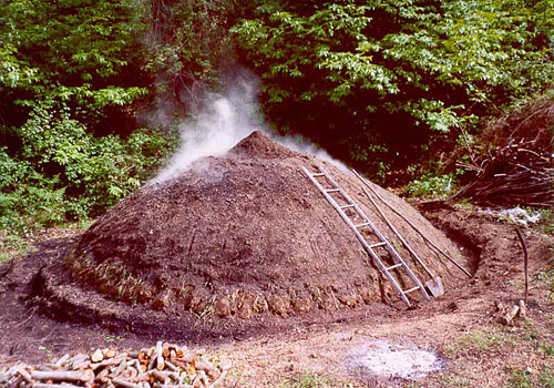 MUSEO DEL BOSCO – POGGIO NERI