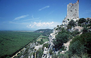 A MAREMMA TORNYAI