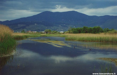 FOCOGNANO MOCSÁRVIDÉK – FOTO: WWW.TOSCANATURA.IT