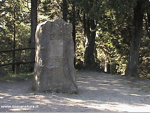 MONTECECERI – FOTO: WWW.TOSCANATURA.IT MONTECECERI – FOTO: WWW.TOSCANATURA.IT