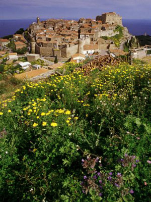 GIGLIO CASTELLO – FOTO:WWW.BOATMEN.IT GIGLIO CASTELLO – FOTO:WWW.BOATMEN.IT