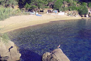 GIGLIO – CALDANE STRAND FOTO:WWW.BOATMEN.IT GIGLIO – CALDANE STRAND FOTO:WWW.BOATMEN.IT
