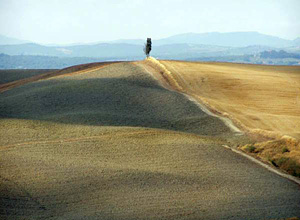 SIENA - KRÉTA-VIDÉK SIENA - KRÉTA-VIDÉK